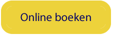 button online flat.png